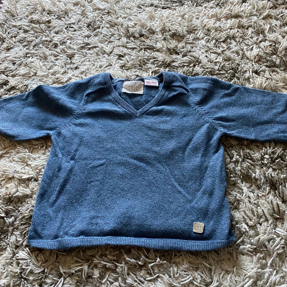 Zara sweater